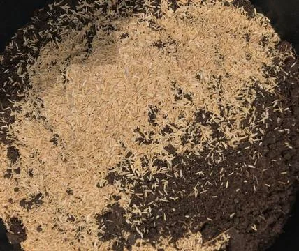 Compost mixed with rice husk Stock Photos