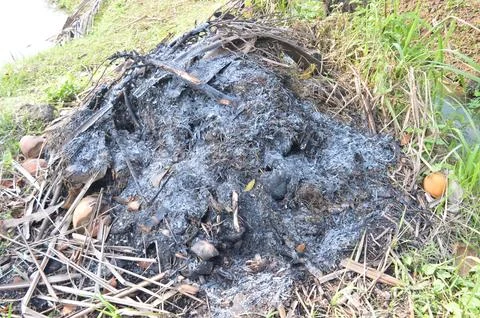 Compost Stock Photos