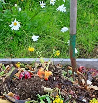 Compost pile with daisies Stock Photos