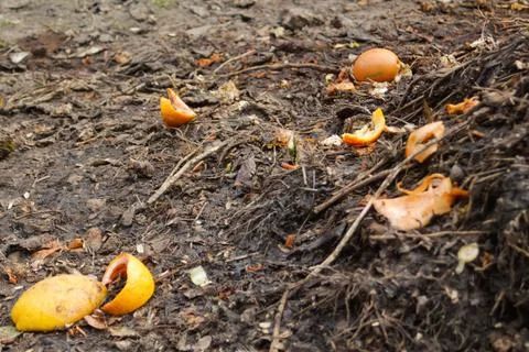 Compost pile. Defocus compost and composted soil cycle as a composting pile.. Stock Photos