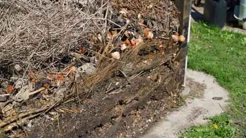 Compost pile with dry branches and food scraps decomposing in garden Stock Footage 341078952