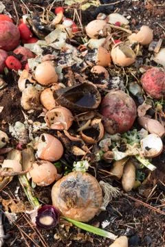 Compost pile with eggshells and vegetable scraps rotting Stock Photos