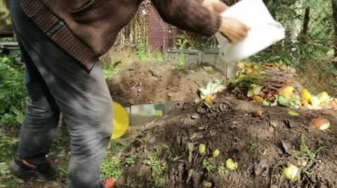 Compost pile. Man throws food scraps onto a compost pile Stock Footage