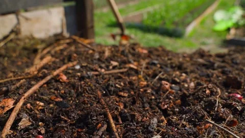 Compost pile with organic waste and twigs in garden close-up Stock Footage 342941205