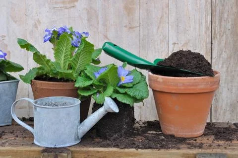 Compost for potting plants Stock Photos