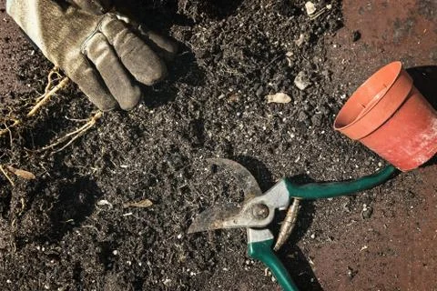 Compost with secateurs Stockfoto's