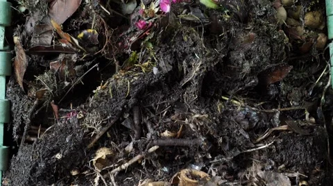 Compost slide Vídeos de archivo 50325175