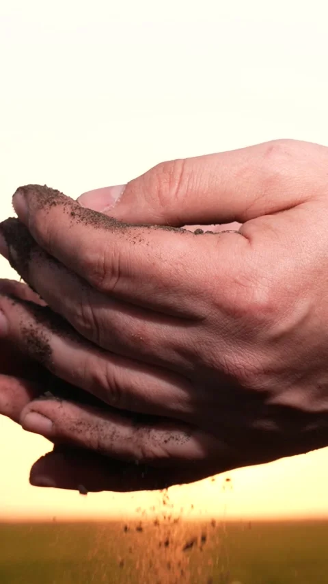 Compost soil amendment, field productivity analysis, agri-business trends, soil Stock Footage 275181764