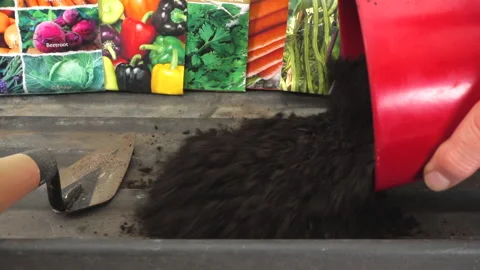 Compost tipping into a growing tray, with packets of vegetable seeds behind. Video stock 195428413