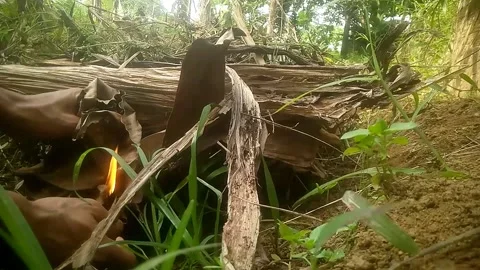 Compost tutorial Stock Footage 169463441