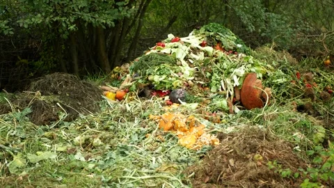 Compost vegetable bio farm autumn rotten tomato pumpkin pepper lettuce cabbage Video stock 297858476