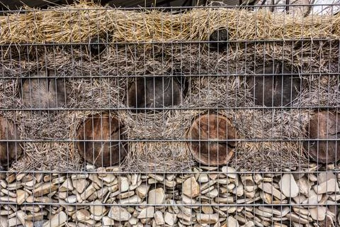 Compost yard with equipment for processing crop residues and shelters for b.. Stock Photos