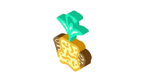 Compostable packaging isometric icon animation Stock Footage 327274836