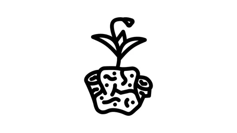 Compostable packaging line animation Stock Footage 326747953