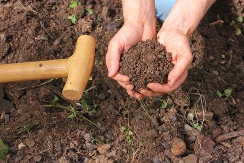 Composted earth with hands Stock Photos