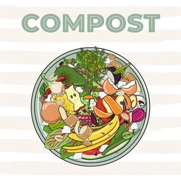 Composting bin with kitchen scraps, top view. No food wasted. Recycling organ Stock Illustration