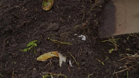 Composting Eggshells &amp; Bananas: Animated Soil Shoveling Stock Footage 307465999