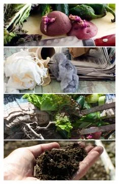 Composting kitchen scraps Stock Photos