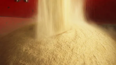 Compound Feedstuff used for Animal Feeding at the Industrial Farming Facility Video stock 202092309
