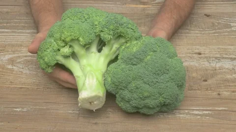 A Comprehensive Comparison of Fresh Broccoli Examining Sizes and Various Unique 스톡 동영상 284133722