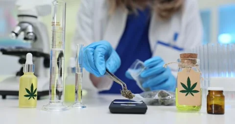 Comprehensive Laboratory Analysis of Cannabisbased Products and Their Important Stock Footage 300935671