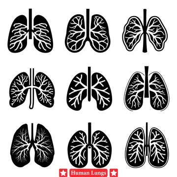 Comprehensive Vector Illustrations of Human Lungs for Medical Website Banners Stock Illustration
