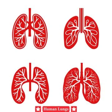 Comprehensive Vector Illustrations of Human Lungs Designed for Medical Prof.. Illustrazione stock