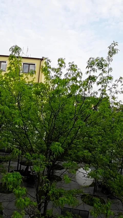A Comprehensive Visual Tour of Opole, Polands Charming City Stock Footage 278509962