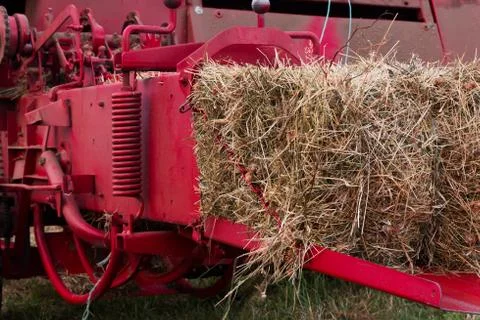 Compress Hay Bale Stock Photos