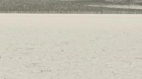 Compressed Layers of Playa Surface Meeting the Vegetation Belt Stock Footage 331275147