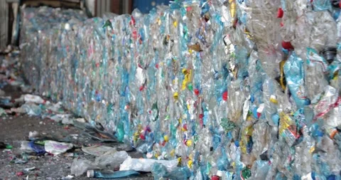 Compressed plastic bottles with colored caps. Disposal and processing of solid Stock Footage 156106288