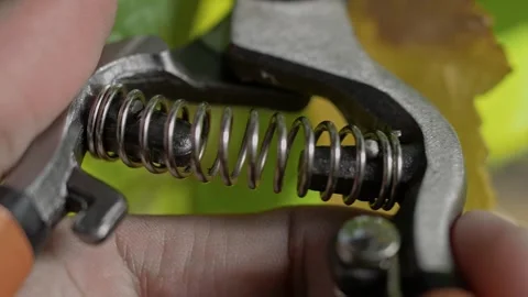 Compressible spring of pruning shear in the hands of vineyard worker Stock-Footage 270060995