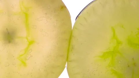Compressing Two Green Grape Halves HD Stock Footage 293699502