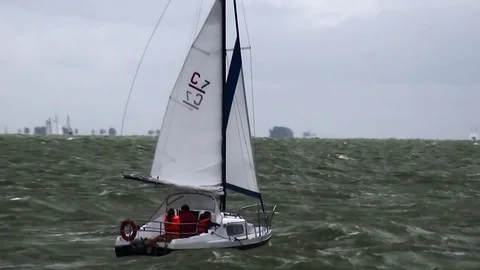  Compromis 7 with strong wind on IJsselmeer Video stock 85260637