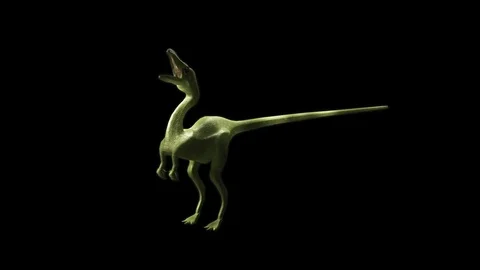 Compsognathus 3D animated dinosaur  - includes Luma Matte - V2 Stock Footage 84081185