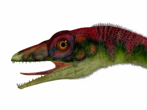 Compsognathus Dinosaur Head Illustrazione stock