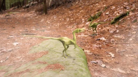 Compsognathus dinosaur pack in a forest in the late Jurassic period Video stock 84042720