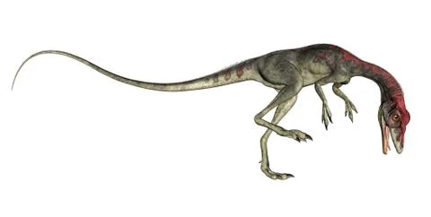 Compsognathus dinosaur roaring - 3D render Stock Illustration