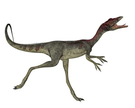 Compsognathus dinosaur running - 3D render Stock Illustration