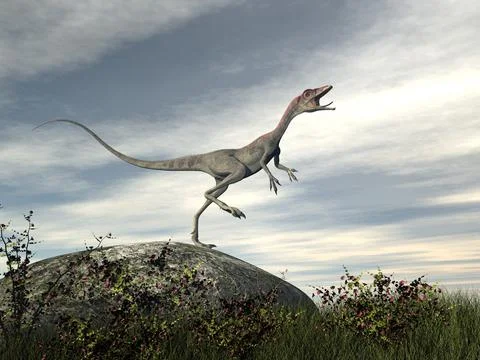 Compsognathus dinosaur standing on a rock - 3D render Stock Illustration