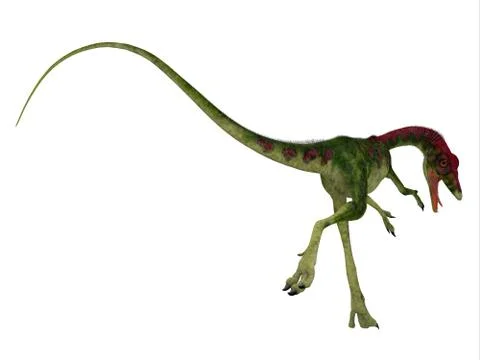 Compsognathus Dinosaur Tail Stock Illustration
