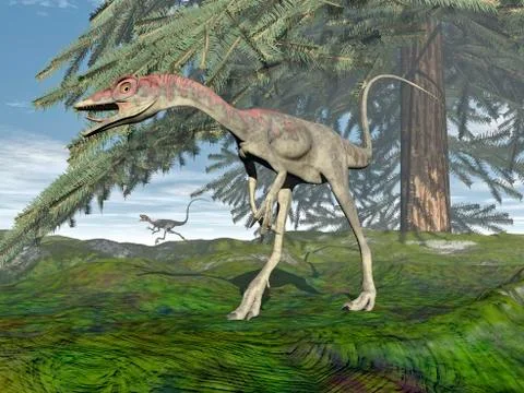 Compsognathus dinosaur under fir tree. Stock Illustration