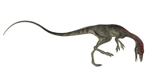 Compsognathus dinosaur walking - 3D render Stock Illustration