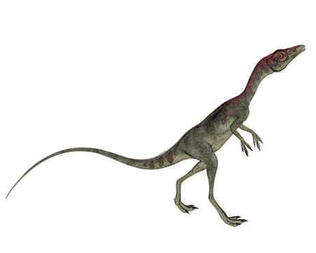 Compsognathus dinosaur walking - 3D render Stock Illustration