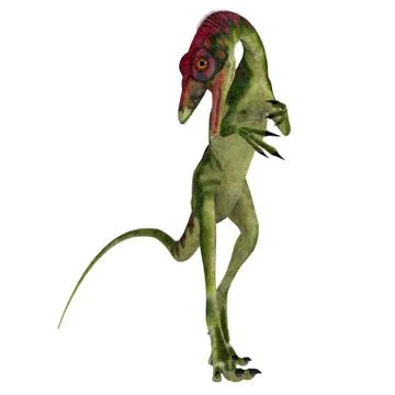 Compsognathus dinosaur on white background. Illustrazione stock