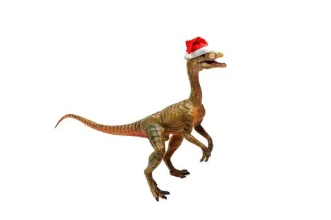 Compsognathus  Dinosaur on white background Stock Photos