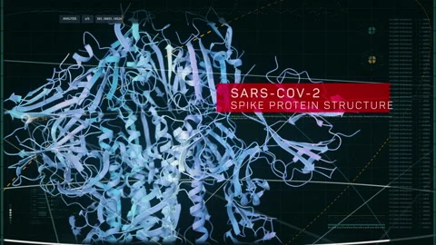 Computer 3d model of spike protein structure of coronavirus Covid, SARS-COV-2 Stock-Footage 132936099