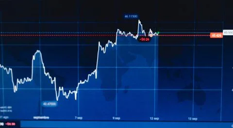 Computer analysis graphs of investing in the stock market 스톡 일러스트