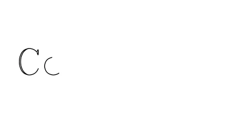 Computer Animated Handwriting Text in Serif Fonts and Weights Stock Footage 113928582