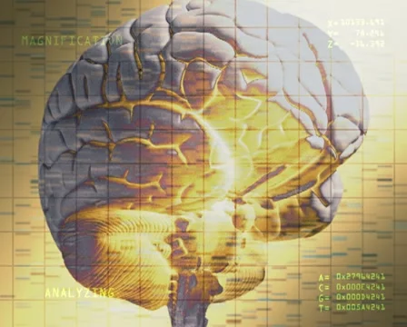 Brain Imagery Stock Video Footage | Royalty Free Brain Imagery Videos ...